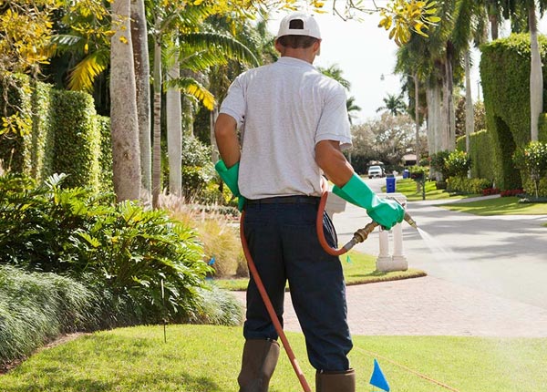 About Gilbert AZ Pest Control Pros